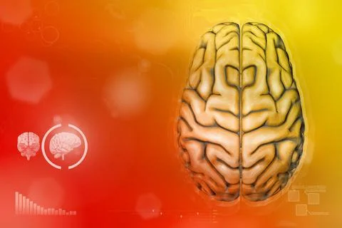 Human brain, mental development concept - background イラスト素材