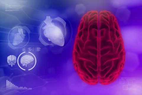 Human brain, mental development concept - modern background Stock Illustration