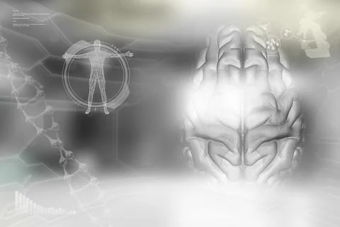 Human brain, mental development concept Stock Illustration
