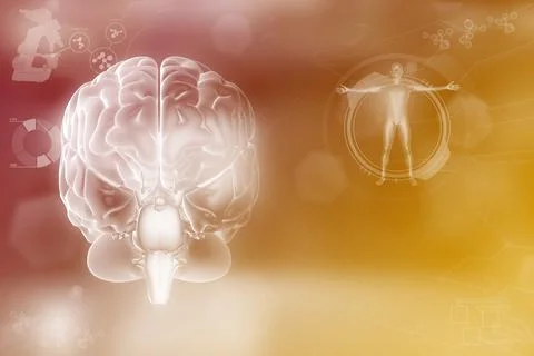 Human brain, mental discovery concept Stock-Illustration