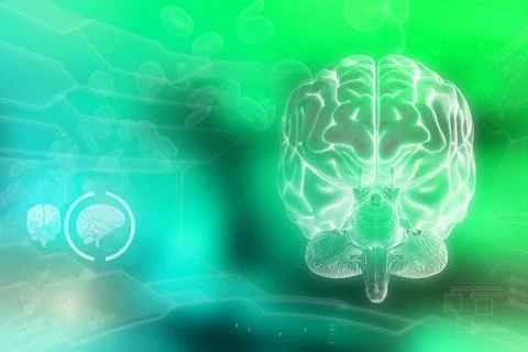 Human brain, mental research concept - very detailed hi Stock Illustration