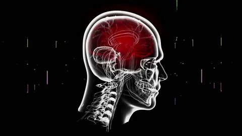 Human Brain Mental waves Power Head Shot mograph Stock-Footage 170600703