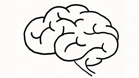 Human Brain Mind and Intelligence Hand Drawn Animation Video stock 342018036