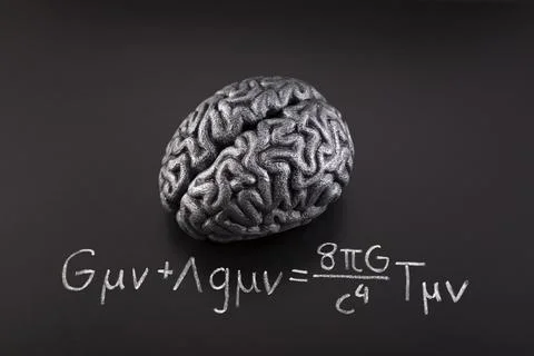 Human brain model with Albert Einstein's Field Equation Stock Photos