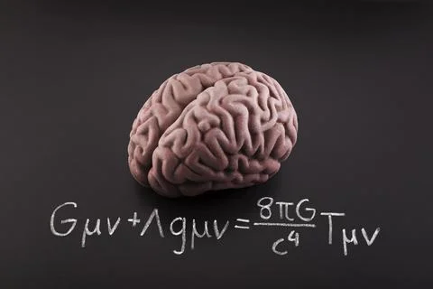 Human brain model with Albert Einstein's Field Equation Stock Photos