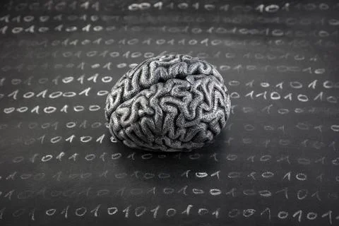 Human brain model and binary code drawn with chalk on worn scholl blackboard 库存照片
