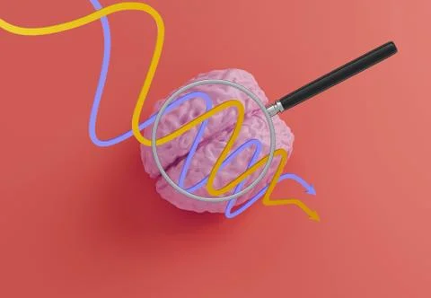 Human brain model and curved arrows and magnifier glass on red background, 3d Stock Illustration