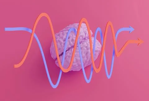 Human brain model and red blue statistical curved arrows on pink background Stock Illustration