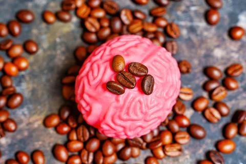 Human Brain Model and Roasted Coffee Beans Stock Photos