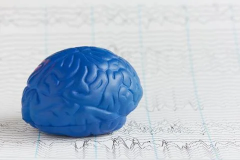Human brain model on background of brain waves Stock Illustration