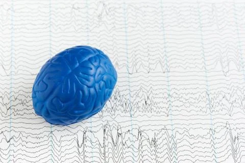 Human brain model on background of brain waves Stock Photos