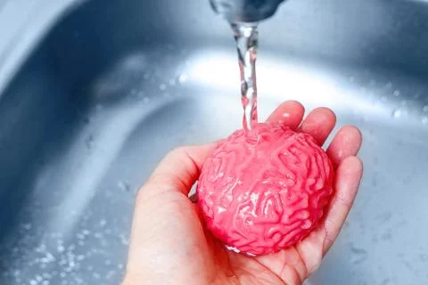 Human Brain Model Being Washed Under Faucet in Sink Stock Photos