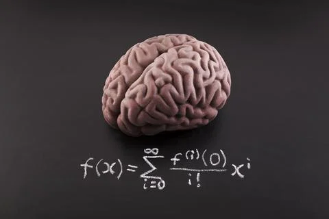 Human brain model with difficult formula math drawn with chalk on blackboard Stock Photos