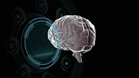 Human brain model with digital interface and data processing animation Stock Footage 304160665