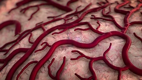 Human brain model 動画素材 74394766