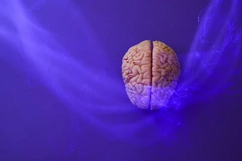 Human brain model with glowing neural pathways Stock Photos