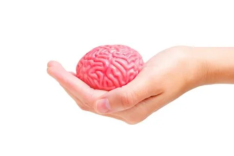 Human Brain Model in Hand Foto stock
