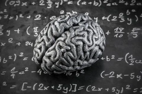 Human brain model with mathematical equations on scholl chalkboard Stock Photos
