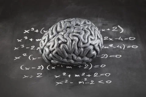 Human brain model with mathematical equations on scholl chalkboard Stock Photos