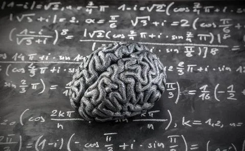 Human brain model with mathematical equations on scholl chalkboard. Stock Photos