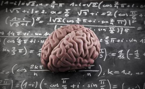 Human brain model with mathematical equations on scholl chalkboard Stock Photos