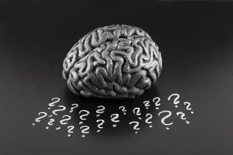 Human brain model with question marks drawn with chalk on scholl blackboard Stock-Fotos