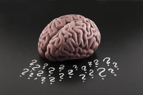 Human brain model with question marks drawn with chalk on scholl blackboard Stock-Fotos