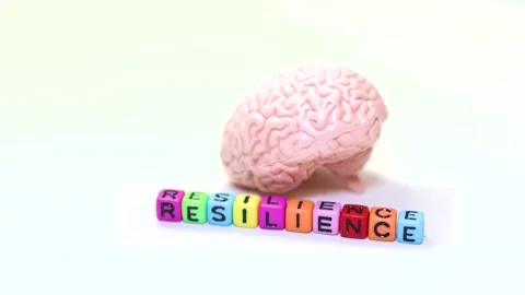 Human brain model representing mental health resilience concept on white ba.. 動画素材 329827688