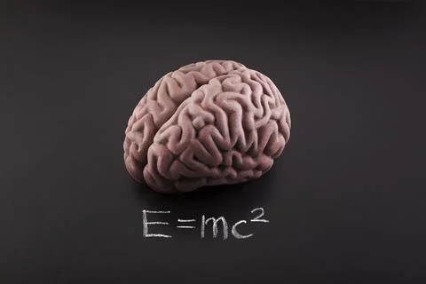 Human brain model theory of relativity drawn with chalk on blackboard. Stock Photos