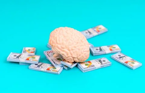 Human Brain on Money Stack on Blue Background Stock-Fotos