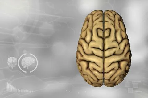 - human brain, nerve development concept - highly detailed hi-tech texture Stock Illustration