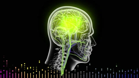 Human Brain with Nerves signal pulsating Stock-Footage 170601416