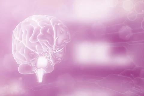 Human brain, nervous development concept - detailed texture Stock Illustration