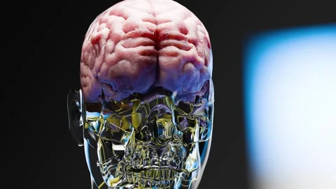 Human brain nervous system anatomy, neural cancer, Sebaceous bulb, malignant Stock Footage 287849114