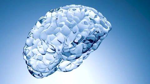 Human brain nervous system anatomy, Central organ rotating, Video stock 308065502