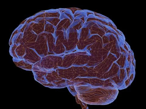 Human Brain Nervous System Power Connections Stock Illustration