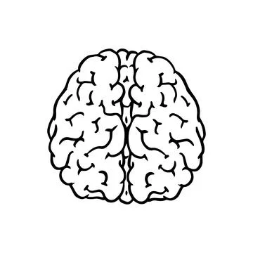 Human brain. Nervous system. Retro vector illustration for woodcut or print Stock Illustration
