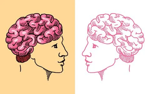 Human brain. Nervous system. Retro vector illustration for woodcut or print Stock Illustration