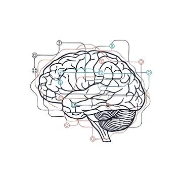 (Human Brain Network. Illustrates intricate mental processes and digital co.. Illustrazione stock