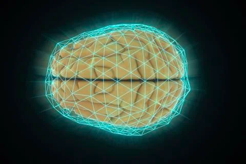 Human brain network Stock Illustration