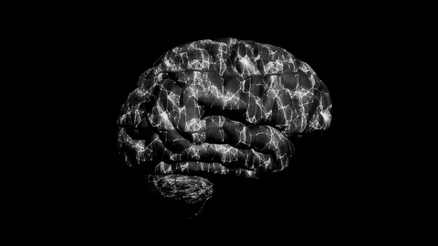 Human Brain Neural Activity Stock Footage 120855800