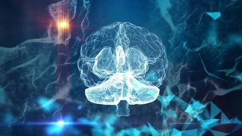 Human brain neural network  background Stock Footage 107222506