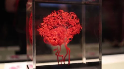 Human brain neural network concept Stock Footage 330679651