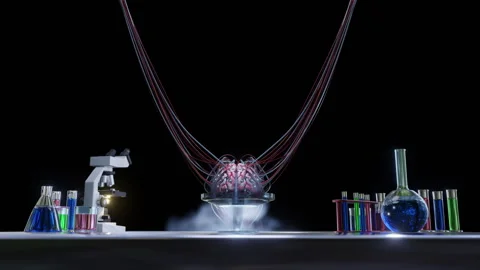 Human Brain Neural Wired In Lab Network 3D Animation Loop Video stock 251491751