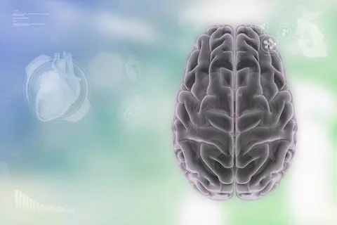 - human brain, neurology analysis concept - detailed modern texture Stock Illustration