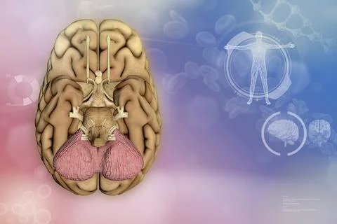 - human brain, neurology development concept - very detailed modern background Illustrazione stock