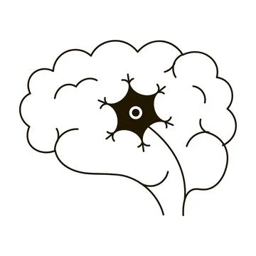 Human brain with neuron icon in outline style isolated on white background, m Stock Illustration