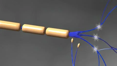 The human brain Neuron Neurons in action. electrical impulses Illustrazione stock