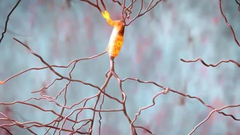 The human brain Neuron Neurons in action. electrical impulses Stock Illustration