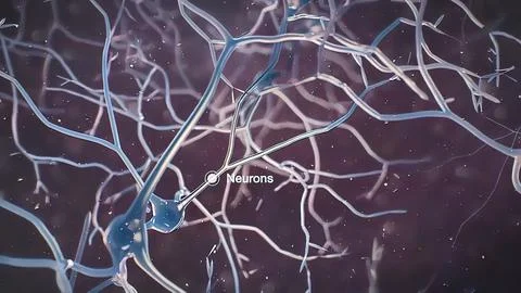The human brain Neuron Neurons in action. electrical impulses Stock Illustration